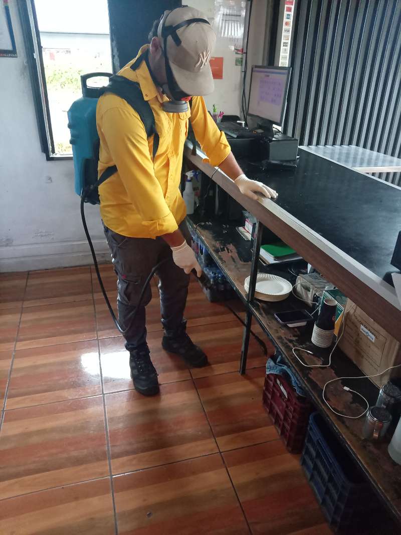 Técnico de EcoPlagas con respirador y guantes aplicando bajo el mostrador de un local comercial