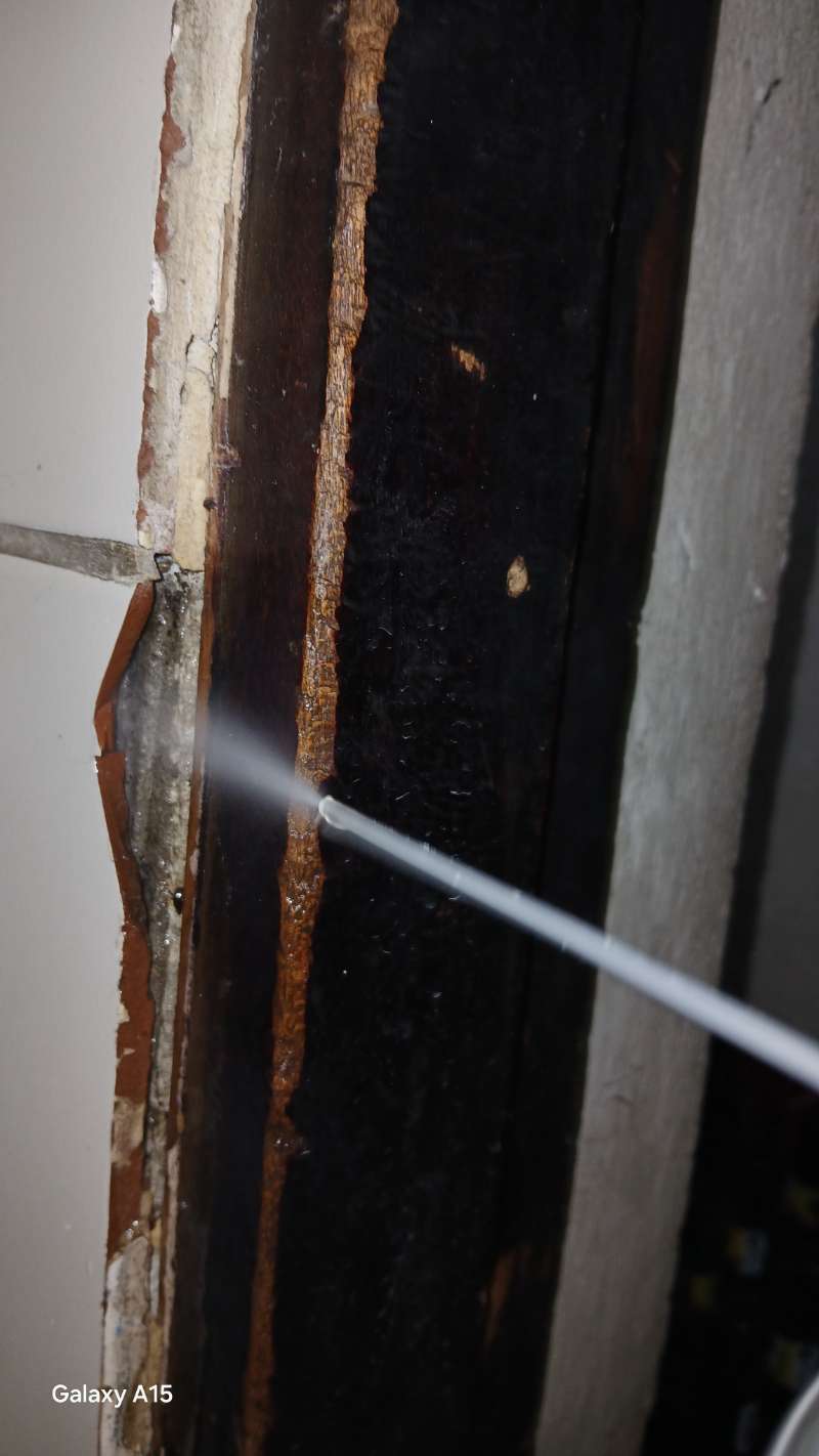 Inyección a presión de tratamiento antitermitas en un marco de madera con daño de comején