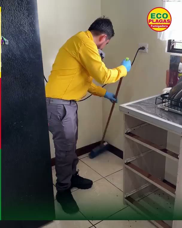 Sin cucarachas y en orden: Como la encontramos, pero sin plaga